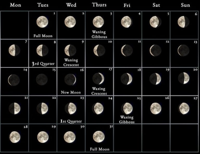 Lunar June 2023 Moon Phases Calendar Printable Templates