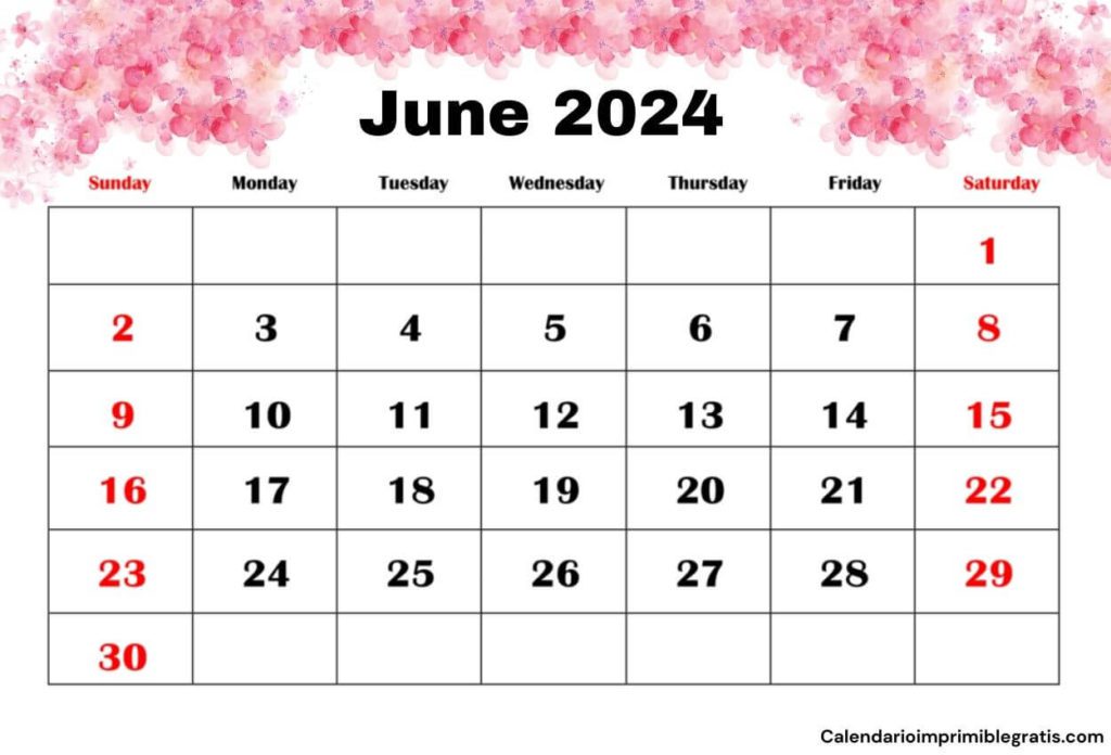 June 2024 Floral Calendar Printable