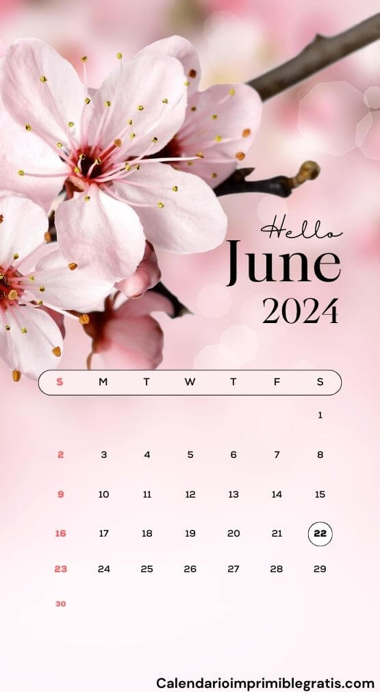 June 2024 iPhone Wallpaper Calendar