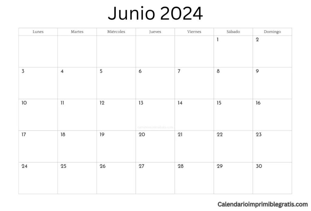 Organización con Calendario en Blanco Junio 2024