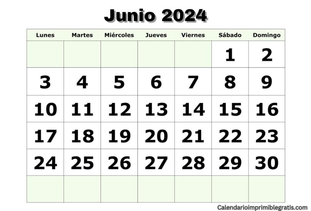Planificación con Calendario en Blanco Junio 2024