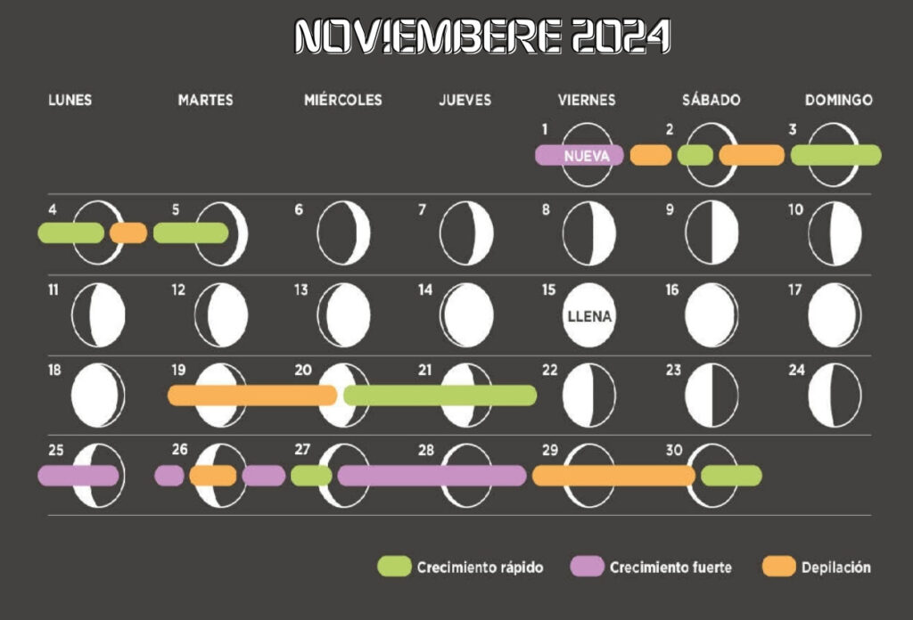 Calendario de plantillas lunares de noviembre de 2024